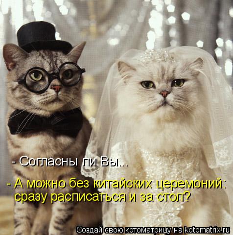 - Согласны ли Вы... - А можно без китайских церемоний: сразу расписаться и за стол?... Котоматрица: - Согласны ли Вы... - А можно без китайских церемоний: сразу расписаться и за стол?