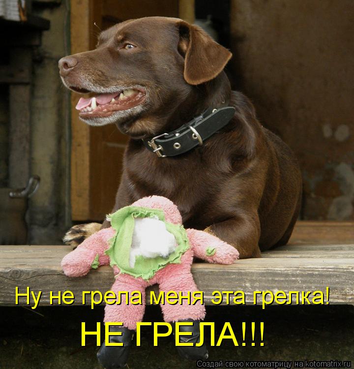 Ну не грела меня эта грелка! НЕ ГРЕЛА!!!... Котоматрица: Ну не грела меня эта грелка! НЕ ГРЕЛА!!!