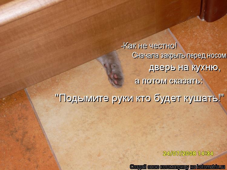 -Как не честно! Сначала закрыть перед носом дверь на кухню, а потом сказать: "Подымите руки кто б... Котоматрица: -Как не честно! Сначала закрыть перед носом дверь на кухню, а потом сказать: "Подымите руки кто будет кушать!"