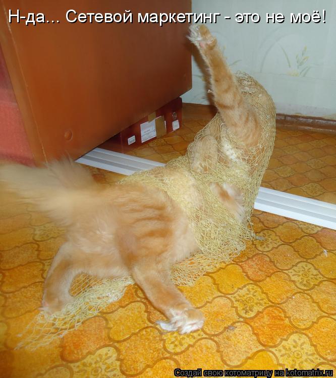 Котоматрица: Н-да... Сетевой маркетинг - это не моё!