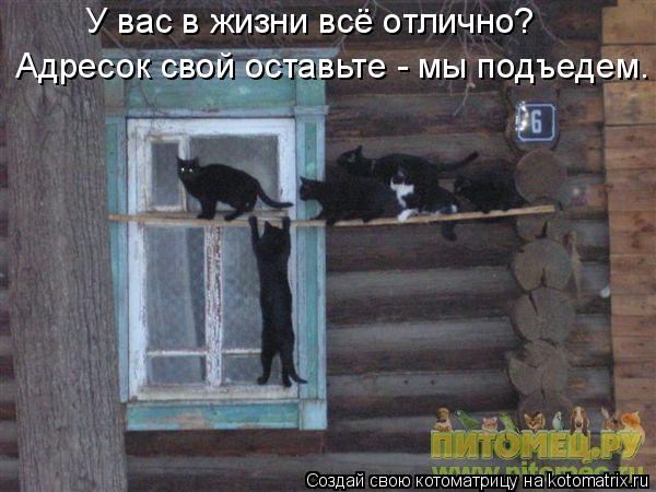 У вас в жизни всё отлично? Адресок свой оставьте - мы подъедем.... Котоматрица: У вас в жизни всё отлично? Адресок свой оставьте - мы подъедем.