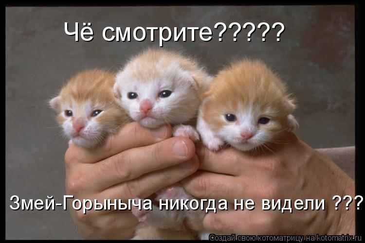 Чё смотрите????? Змей-Горыныча никогда не видели ???... Котоматрица: Чё смотрите????? Змей-Горыныча никогда не видели ???
