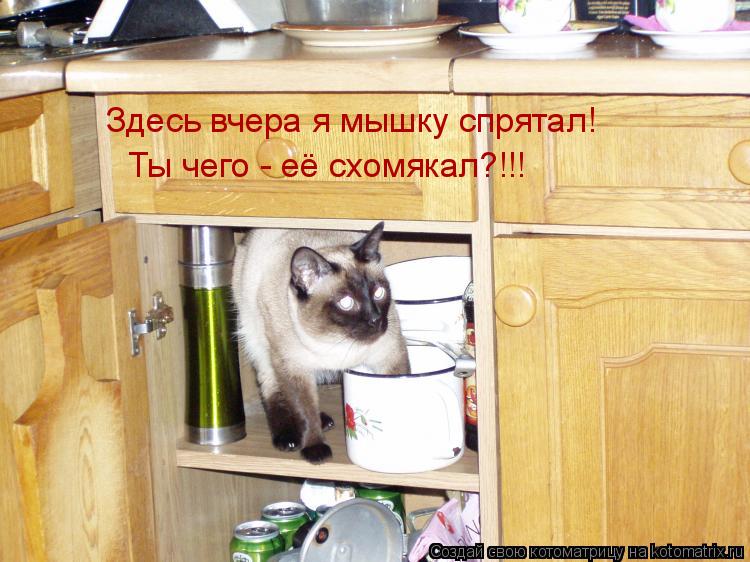 Котоматрица: Здесь вчера я мышку спрятал! Ты чего - её схомякал?!!!