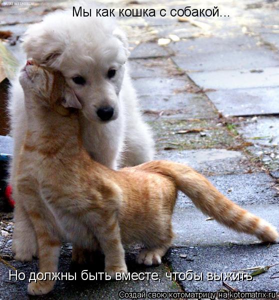 Мы как кошка с собакой... Но должны быть вместе, чтобы выжить.... Котоматрица: Мы как кошка с собакой... Но должны быть вместе, чтобы выжить.