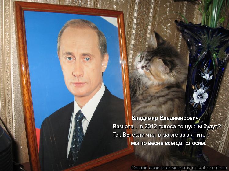 Котоматрица: Владимир Владимирович,  Вам эта... в 2012 голоса-то нужны будут? мы по весне всегда голосим. Так Вы если что, в марте загляните -