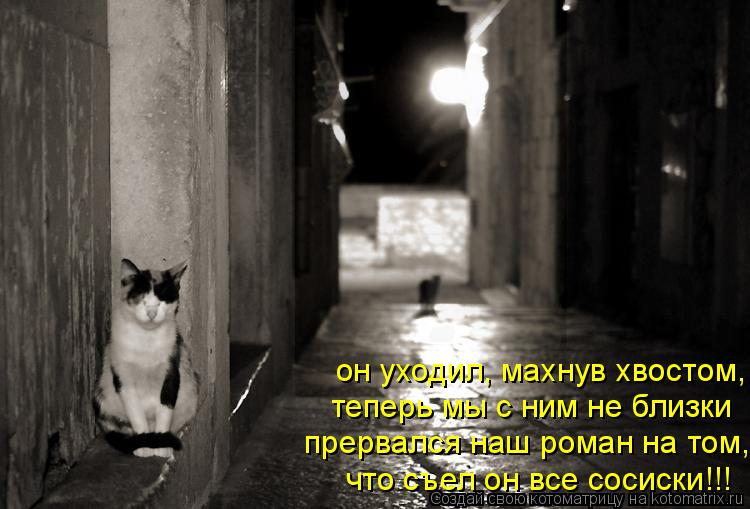 Котоматрица: он уходил, махнув хвостом, теперь мы с ним не близки прервался наш роман на том, что съел он все сосиски!!!