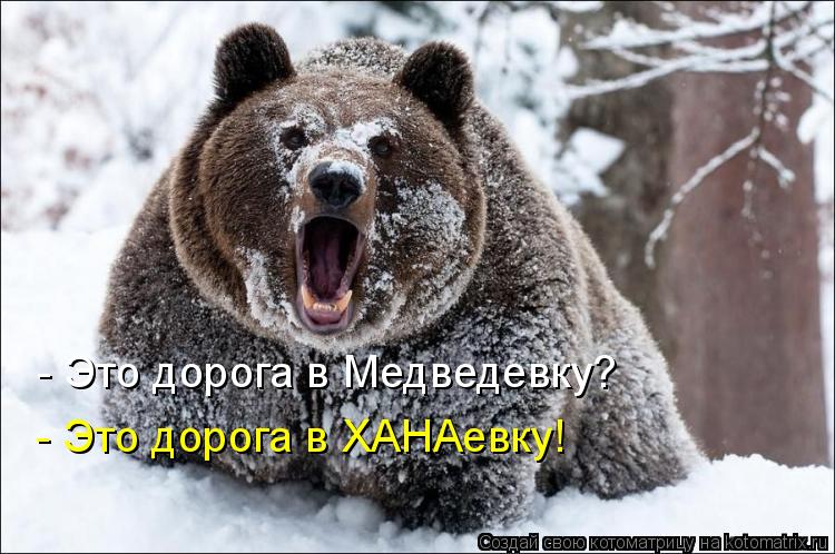 - Это дорога в Медведевку? - Это дорога в ХАНАевку!... Котоматрица: - Это дорога в Медведевку? - Это дорога в ХАНАевку!