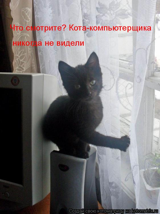Что смотрите? Кота-компьютерщика никогда не видели Что смотрите? Кота-компьютерщика никогда не виде... Котоматрица: Что смотрите? Кота-компьютерщика никогда не видели Что смотрите? Кота-компьютерщика никогда не видели
