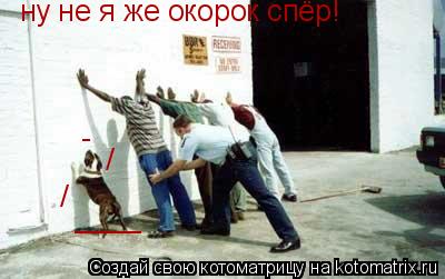 ну не я же окорок спёр! / / - ____... Котоматрица: ну не я же окорок спёр! / / - ____