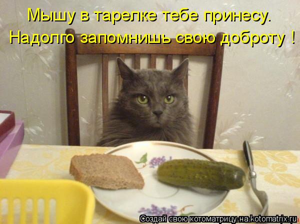 Надолго запомнишь свою доброту ! Мышу в тарелке тебе принесу.... Котоматрица: Надолго запомнишь свою доброту ! Мышу в тарелке тебе принесу.