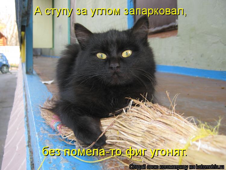 А ступу за углом запарковал, без помела-то фиг угонят.... Котоматрица: А ступу за углом запарковал, без помела-то фиг угонят.