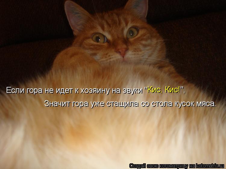 Котоматрица: Если гора не идет к хозяину на звуки "        Кис, Кис!  ", Значит гора уже стащила со стола кусок мяса.