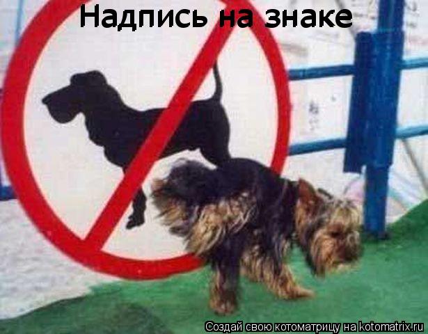Надпись на знаке Надпись на знаке... Котоматрица: Надпись на знаке Надпись на знаке