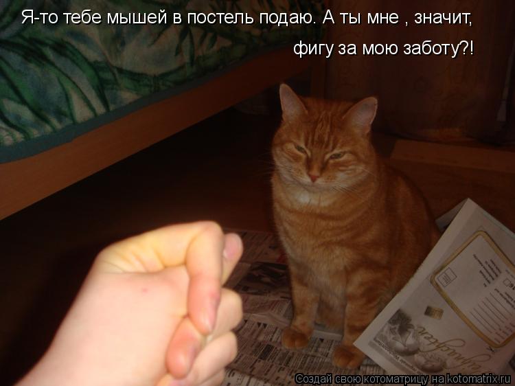 Я-то тебе мышей в постель подаю. А ты мне , значит, фигу за мою заботу?!... Котоматрица: Я-то тебе мышей в постель подаю. А ты мне , значит, фигу за мою заботу?!