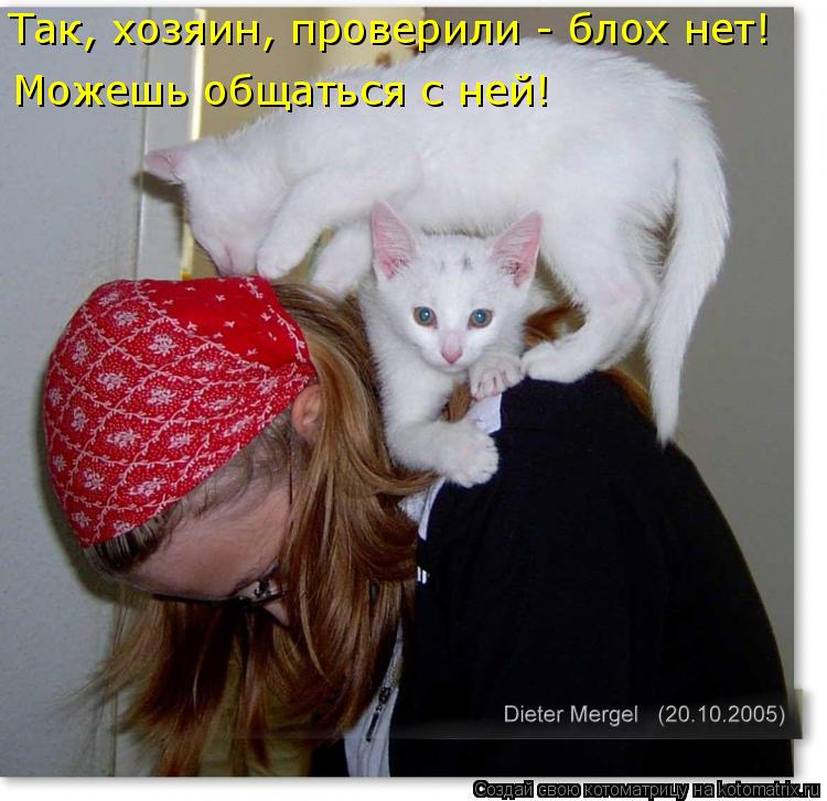 Так, хозяин, проверили - блох нет! Можешь общаться с ней!... Котоматрица: Так, хозяин, проверили - блох нет! Можешь общаться с ней!