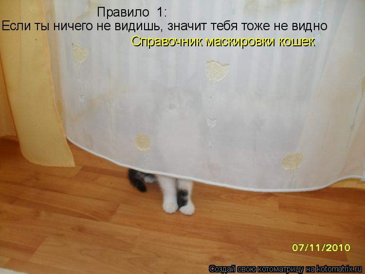 Правило №1: Если ты ничего не видишь, значит тебя тоже не видно Справочник маскировки кошек... Котоматрица: Правило №1: Если ты ничего не видишь, значит тебя тоже не видно Справочник маскировки кошек