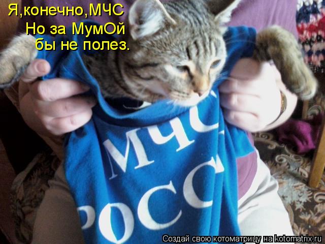 бы не полез. Я,конечно,МЧС Но за МумОй... Котоматрица: бы не полез. Я,конечно,МЧС Но за МумОй