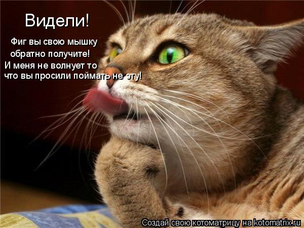 Котоматрица: Видели! Фиг вы свою мышку обратно получите! И меня не волнует то что вы просили поймать не эту!