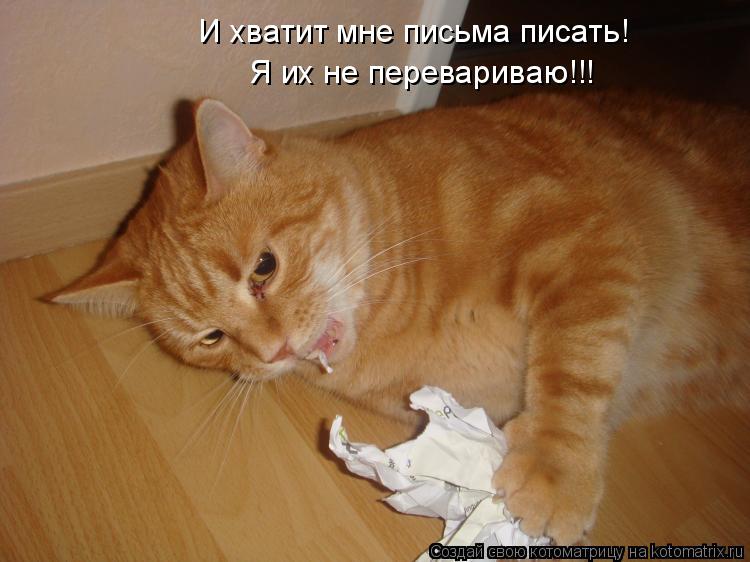 И хватит мне письма писать! Я их не перевариваю!!!... Котоматрица: И хватит мне письма писать! Я их не перевариваю!!!