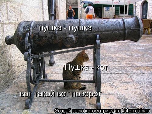 пушка - пушка Пушка - кот вот такой вот поворот... Котоматрица: пушка - пушка Пушка - кот вот такой вот поворот