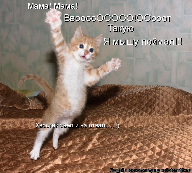 Котоматрица: ВвооооООООО!ООооот Такую  Я мышу поймал!!! Мама! Мама! Хвостик съел и на отвал..... ;)