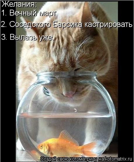 Котоматрица: Желания: 1. Вечный март 2. Соседского Барсика кастрировать 3. Вылазь уже.
