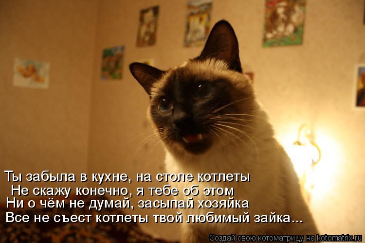 Котоматрица: Ты забыла в кухне, на столе котлеты Не скажу конечно, я тебе об этом Ни о чём не думай, засыпай хозяйка Все не съест котлеты твой любимый зайк