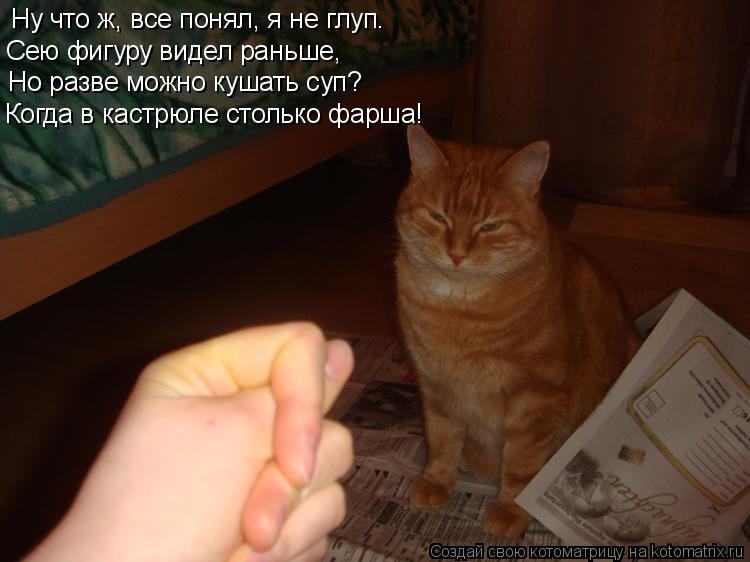 Ну что ж, все понял, я не глуп. Сею фигуру видел раньше, Но разве можно кушать суп? Когда в кастрюле ... Котоматрица: Ну что ж, все понял, я не глуп. Сею фигуру видел раньше, Но разве можно кушать суп? Когда в кастрюле столько фарша!