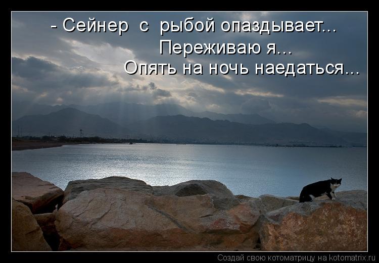 - Сейнер с рыбой опаздывает... Переживаю я... Опять на ночь наедаться...... Котоматрица: - Сейнер с рыбой опаздывает... Переживаю я... Опять на ночь наедаться...