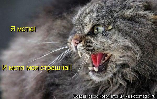 Я мстю! И мстя моя страшна!!... Котоматрица: Я мстю! И мстя моя страшна!!