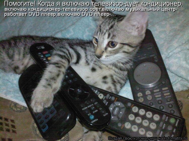 Помогите! Когда я включаю телевизор-дует кондиционер, включаю кондиционер-телевизор орёт,включаю музы... Котоматрица: Помогите! Когда я включаю телевизор-дует кондиционер, включаю кондиционер-телевизор орёт,включаю музыкальный центр- работает DVD плеер,вклю