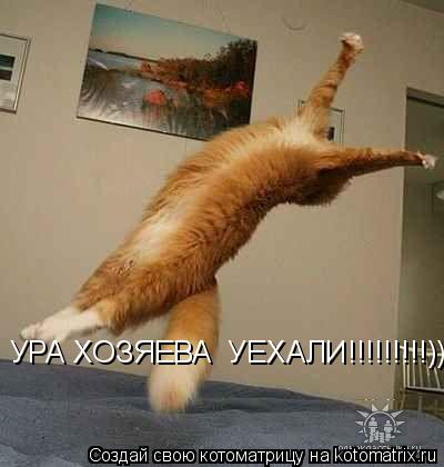 УРА ХОЗЯЕВА УЕХАЛИ!!!!!!!!!)))))))... Котоматрица: УРА ХОЗЯЕВА УЕХАЛИ!!!!!!!!!)))))))