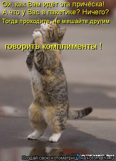 Котоматрица: Ой, как Вам идёт эта причёска! А что у Вас в пакетике? Ничего? Тогда проходите, не мешайте другим говорить комплименты !