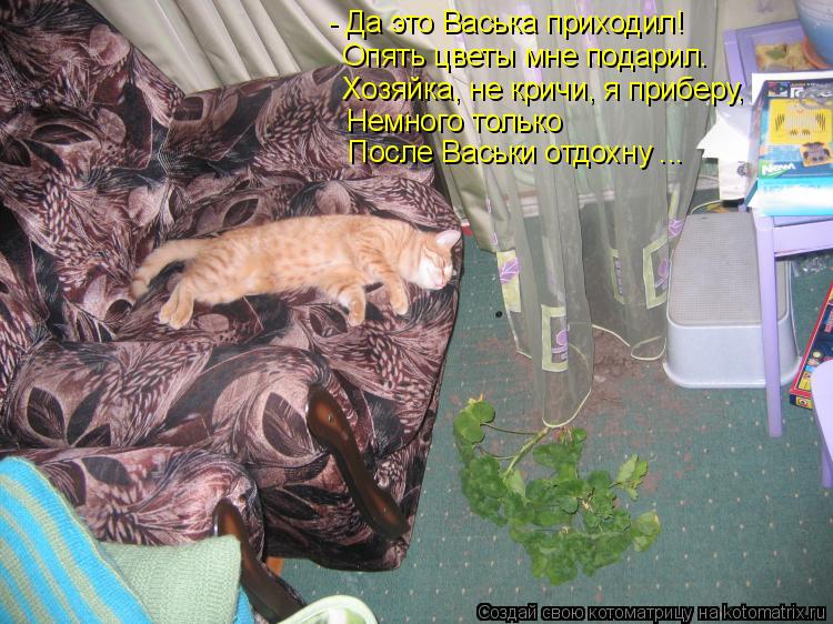 - Да это Васька приходил! Опять цветы мне подарил. Хозяйка, не кричи, я приберу, Немного только Посл... Котоматрица: - Да это Васька приходил! Опять цветы мне подарил. Хозяйка, не кричи, я приберу, Немного только После Васьки отдохну ...