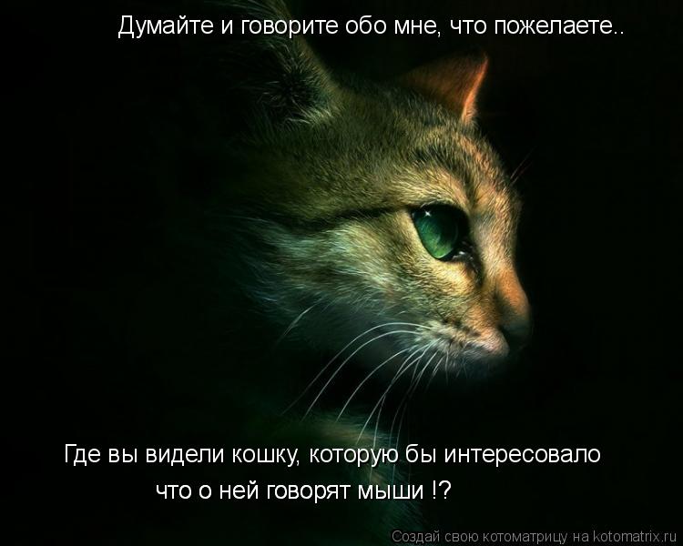 Котоматрица: Думайте и говорите обо мне, что пожелаете.. Где вы видели кошку, которую бы интересовало что о ней говорят мыши !? что о ней говорят мыши !?