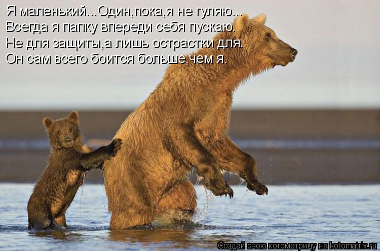 Котоматрица: Всегда я папку впереди себя пускаю. Не для защиты,а лишь острастки для. Я маленький...Один,пока,я не гуляю... Он сам всего боится больше,чем я.