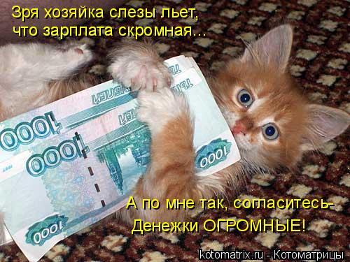 Зря хозяйка слезы льет, что зарплата скромная... что зарплата скромная... А по мне так, согласитесь- ... Котоматрица: Зря хозяйка слезы льет, что зарплата скромная... что зарплата скромная... А по мне так, согласитесь- Денежки ОГРОМНЫЕ!