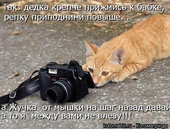 Так: дедка крепче прижмись к бабке, репку приподними повыше... а Жучка от мышки на шаг назад давай, ... Котоматрица: Так: дедка крепче прижмись к бабке, репку приподними повыше... а Жучка от мышки на шаг назад давай, а то я между вами не влезу!!!