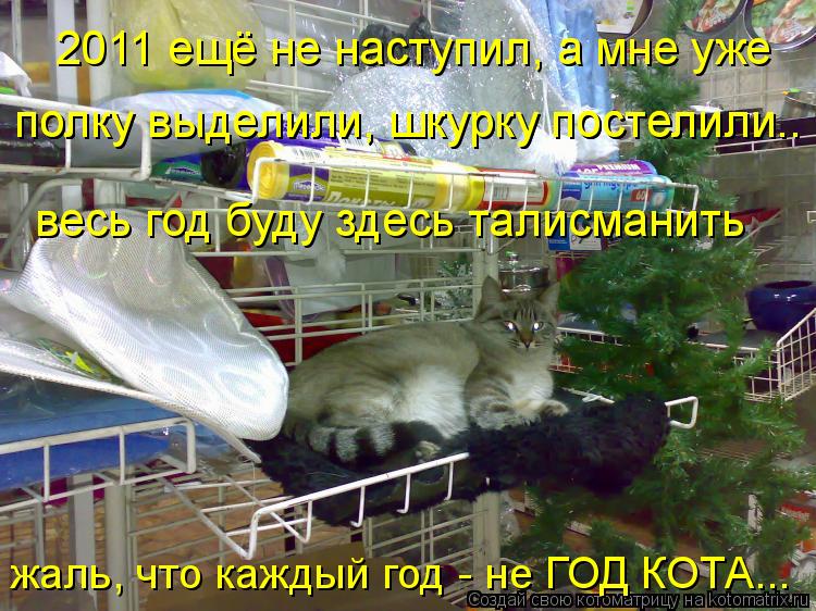 2011 ещё не наступил, а мне уже полку выделили, шкурку постелили.. весь год буду здесь талисманить жа... Котоматрица: 2011 ещё не наступил, а мне уже полку выделили, шкурку постелили.. весь год буду здесь талисманить жаль, что каждый год - не ГОД КОТА... полку выд