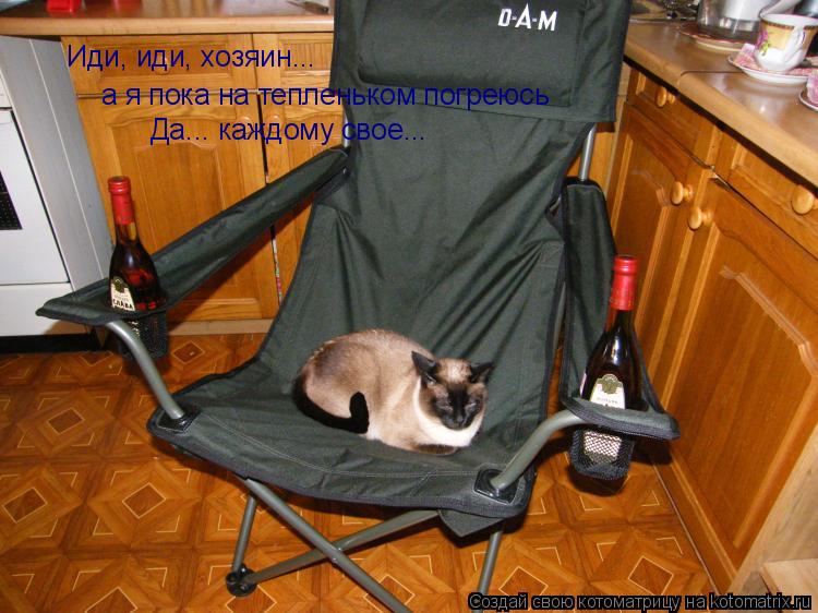 Иди, иди, хозяин... а я пока на тепленьком погреюсь Да... каждому свое...... Котоматрица: Иди, иди, хозяин... а я пока на тепленьком погреюсь Да... каждому свое...