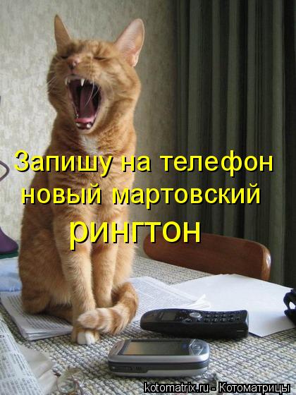 Запишу на телефон новый мартовский рингтон... Котоматрица: Запишу на телефон новый мартовский рингтон