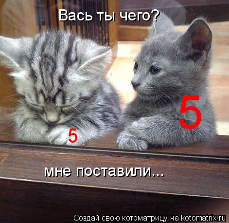 Вась ты чего? мне поставили... 5 5... Котоматрица: Вась ты чего? мне поставили... 5 5
