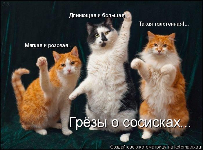 Длинющая и большая! Мягкая и розовая... Такая толстенная!... Грёзы о сосисках...... Котоматрица: Длинющая и большая! Мягкая и розовая... Такая толстенная!... Грёзы о сосисках...