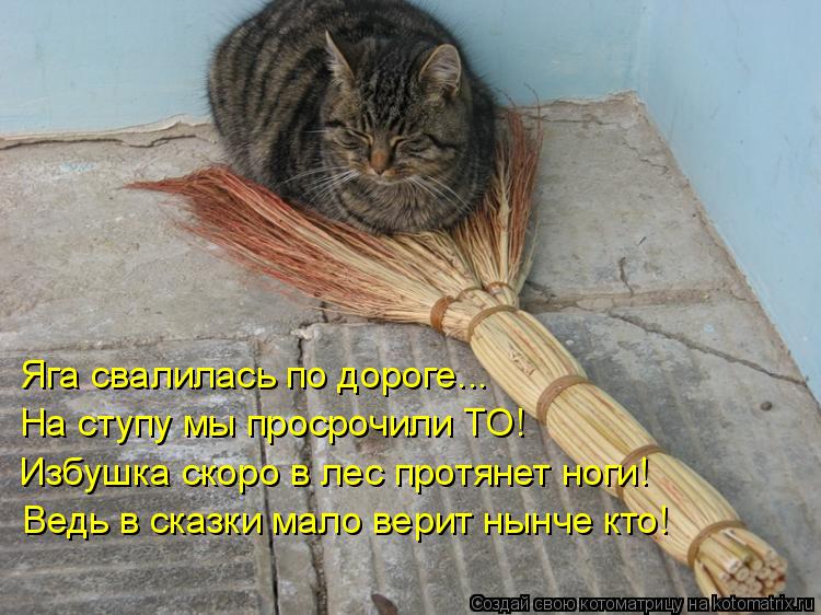 Котоматрица: Яга свалилась по дороге... На ступу мы просрочили ТО! Избушка скоро в лес протянет ноги! Ведь в сказки мало верит нынче кто!