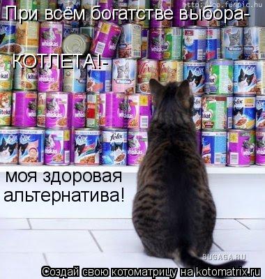 Котоматрица: При всём богатстве выбора- КОТЛЕТА!- моя здоровая альтернатива!