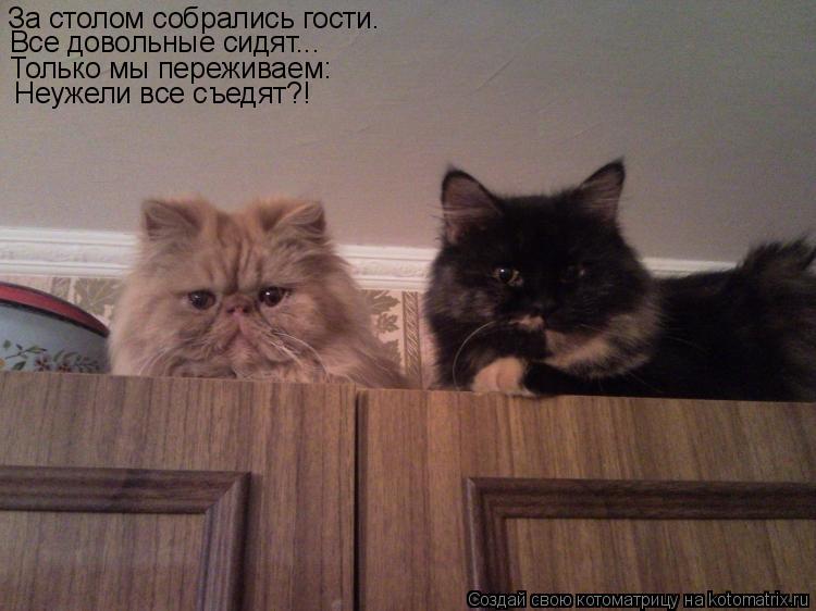 За столом собрались гости. Все довольные сидят... Только мы переживаем: Неужели все съедят?!... Котоматрица: За столом собрались гости. Все довольные сидят... Только мы переживаем: Неужели все съедят?!