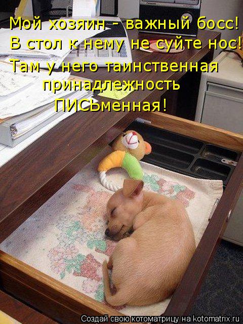 Мой хозяин - важный босс! В стол к нему не суйте нос! Там у него таинственная принадлежность ПИСЬмен... Котоматрица: Мой хозяин - важный босс! В стол к нему не суйте нос! Там у него таинственная принадлежность ПИСЬменная!