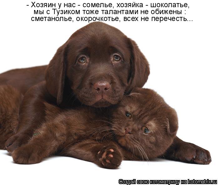 - Хозяин у нас - сомелье, хозяйка - шоколатье, сметанолье, окорочкотье, всех не перечесть... мы с Ту... Котоматрица: - Хозяин у нас - сомелье, хозяйка - шоколатье, сметанолье, окорочкотье, всех не перечесть... мы с Тузиком тоже талантами не обижены :