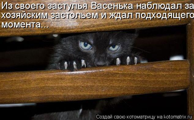 Котоматрица: Из своего застулья Васенька наблюдал за хозяйским застольем и ждал подходящего момента...