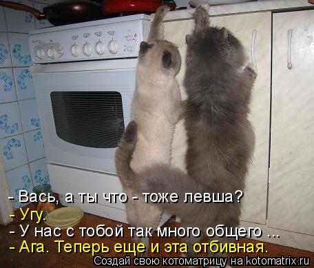 - Угу. - Вась, а ты что - тоже левша? - Ага. Теперь еще и эта отбивная. - У нас с тобой так много общ... Котоматрица: - Угу. - Вась, а ты что - тоже левша? - Ага. Теперь еще и эта отбивная. - У нас с тобой так много общего ...